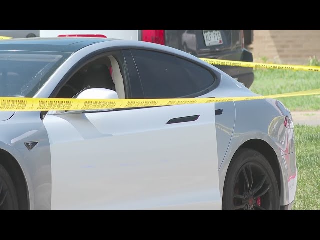Deadly shooting over Tesla charger