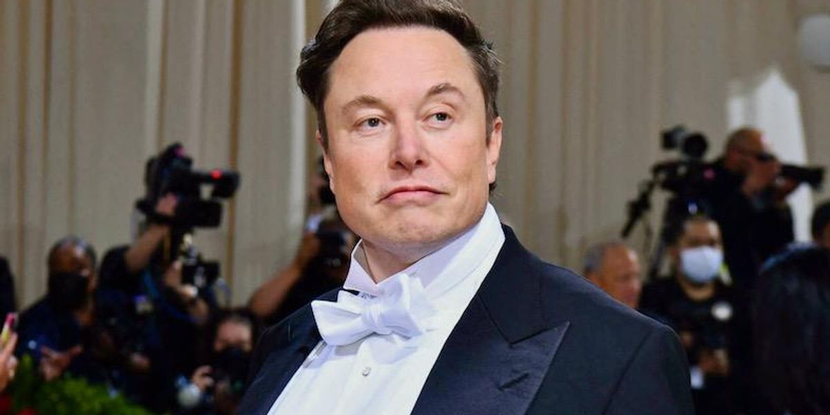 Elon Musk whines about 'insane' Swedish strikes against Tesla