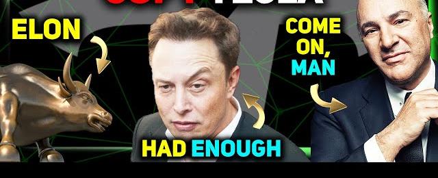 Tesla Picking India Location / xAI and Tesla / GM's Cybertruck Challenger ⚡️