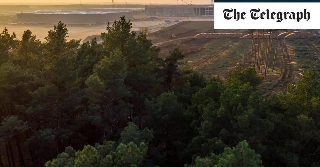 Germans revolt over expansion of Tesla gigafactory