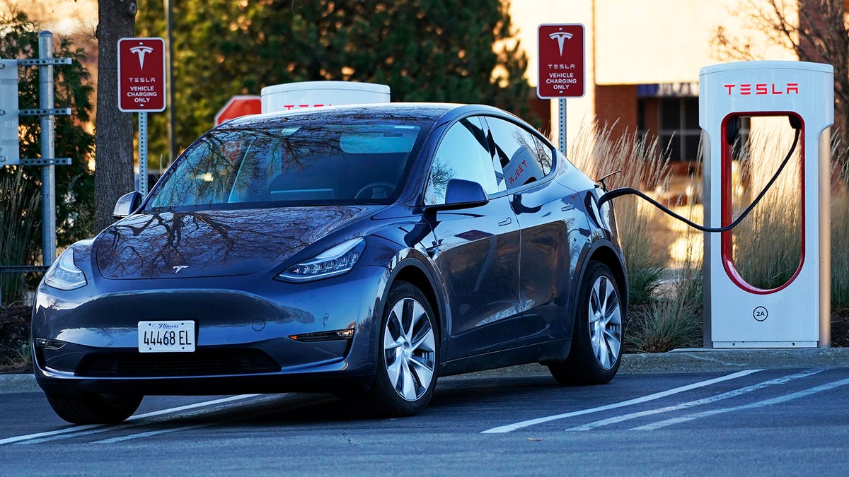 Tesla Doubled New Model Y Registrations In Just One Year