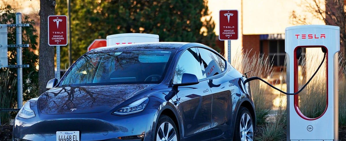 Tesla Doubled New Model Y Registrations In Just One Year