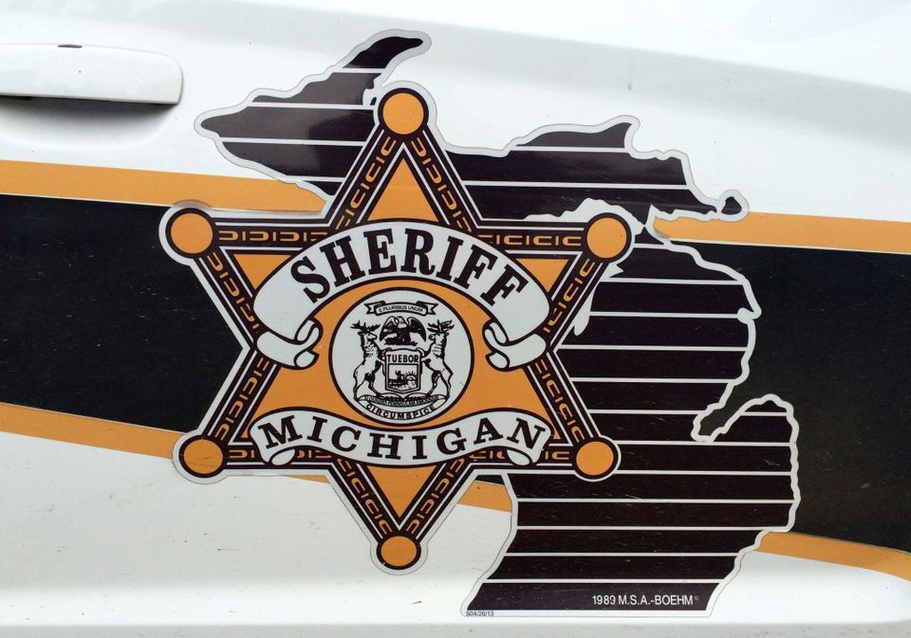 Michigan woman hospitalized after self-driving Tesla crashes into tree