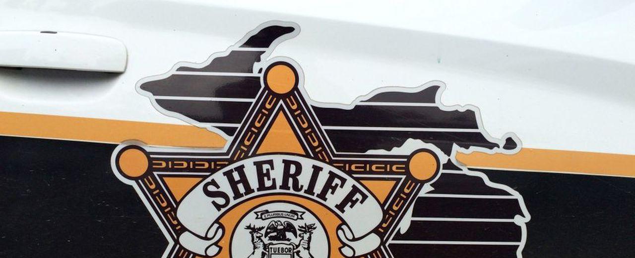 Michigan woman hospitalized after self-driving Tesla crashes into tree