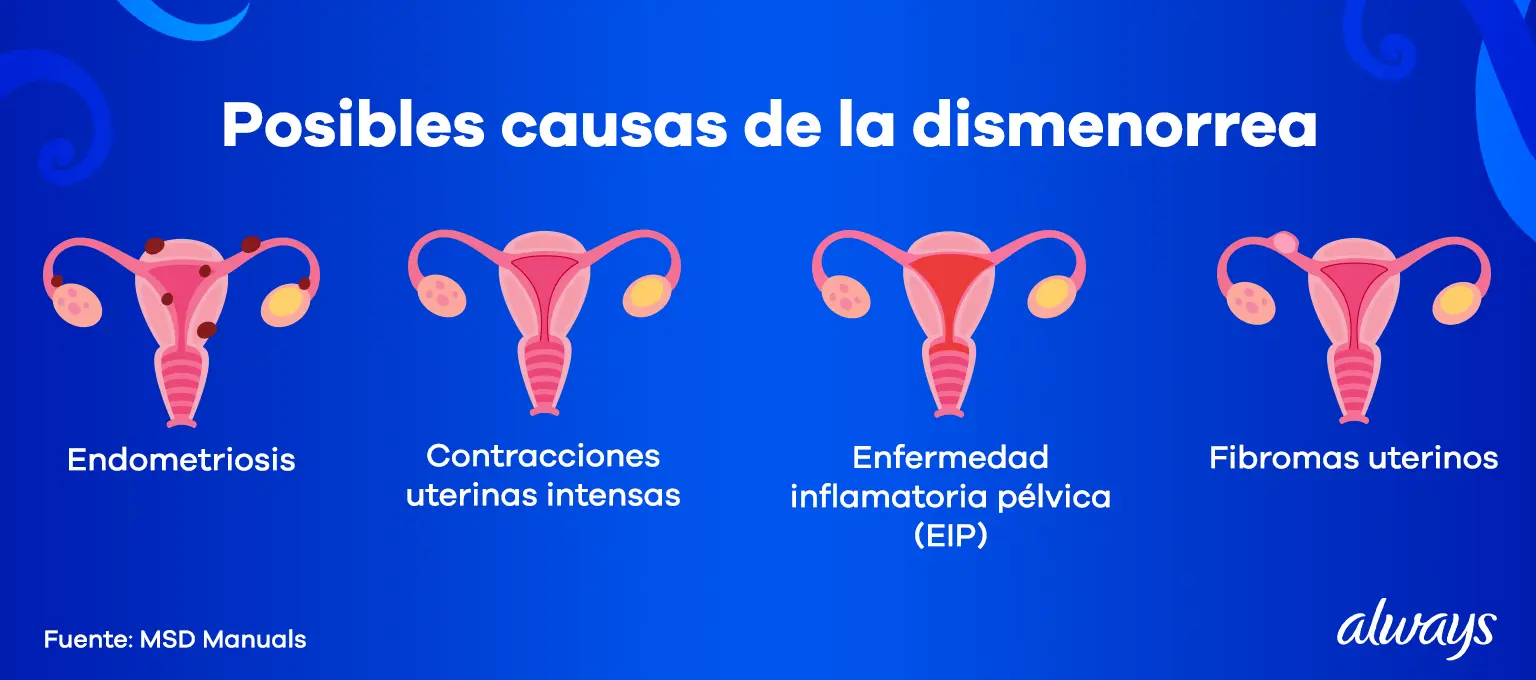 Ehub AlwLAT 02 INFOGRAFIA 1536X680