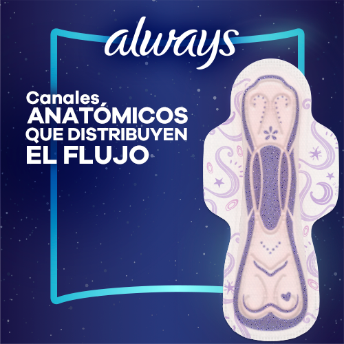 Canales anatomicos