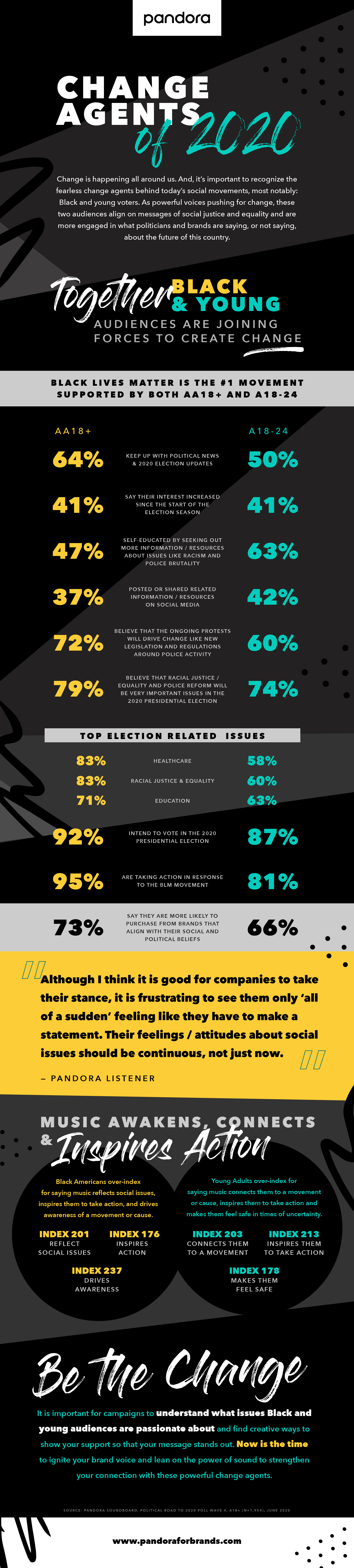 voter infographic