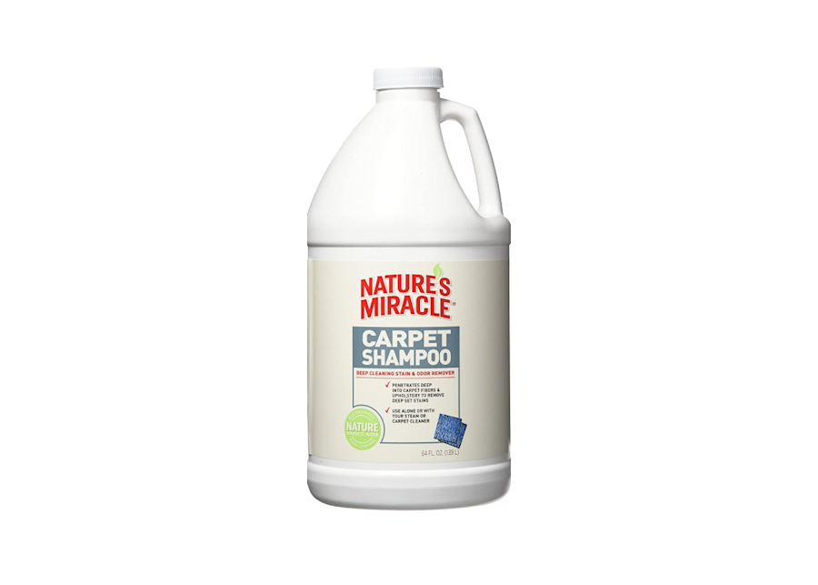 The Best Carpet Shampoos for Your Home Carpets Bank