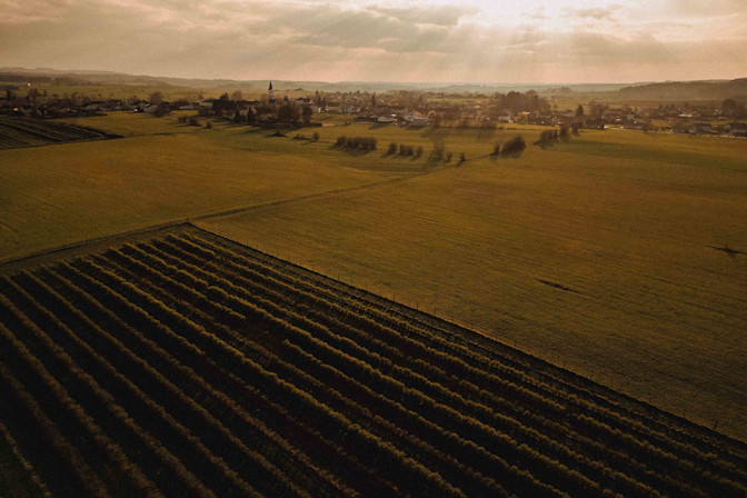 Terrain cover Hectarea