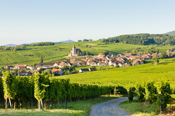 Cover route des vins d'Alsace