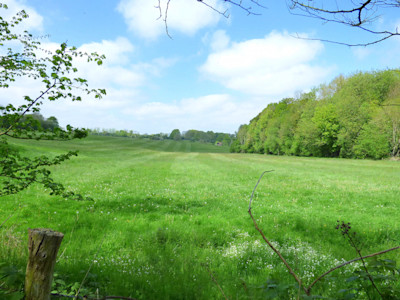 Basilique Sainte Thérèse de Lisieux