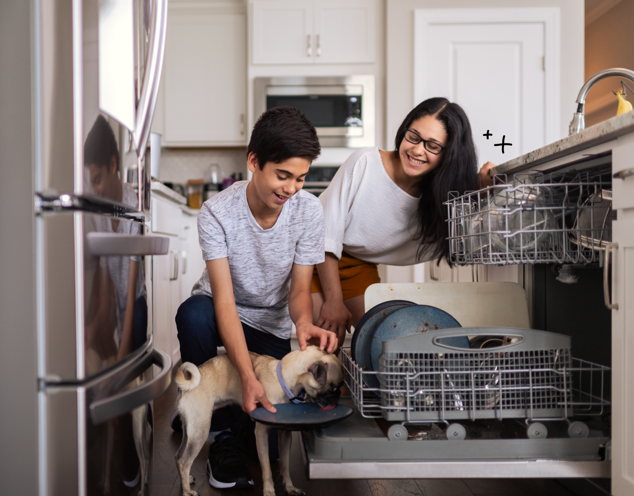 Appliance protection kids and dog broken dishwasher