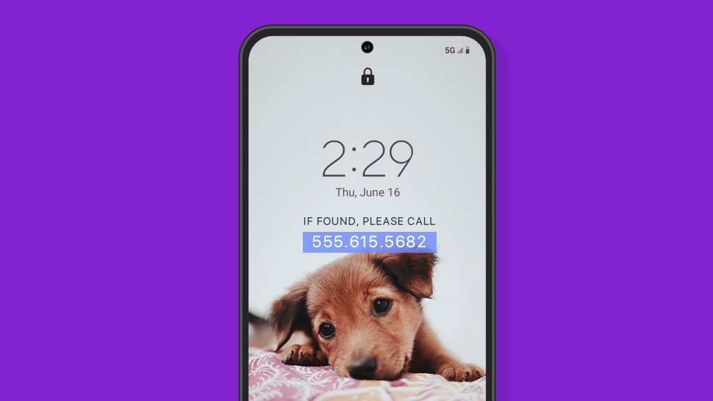 Alternate contact information on phone lock screen