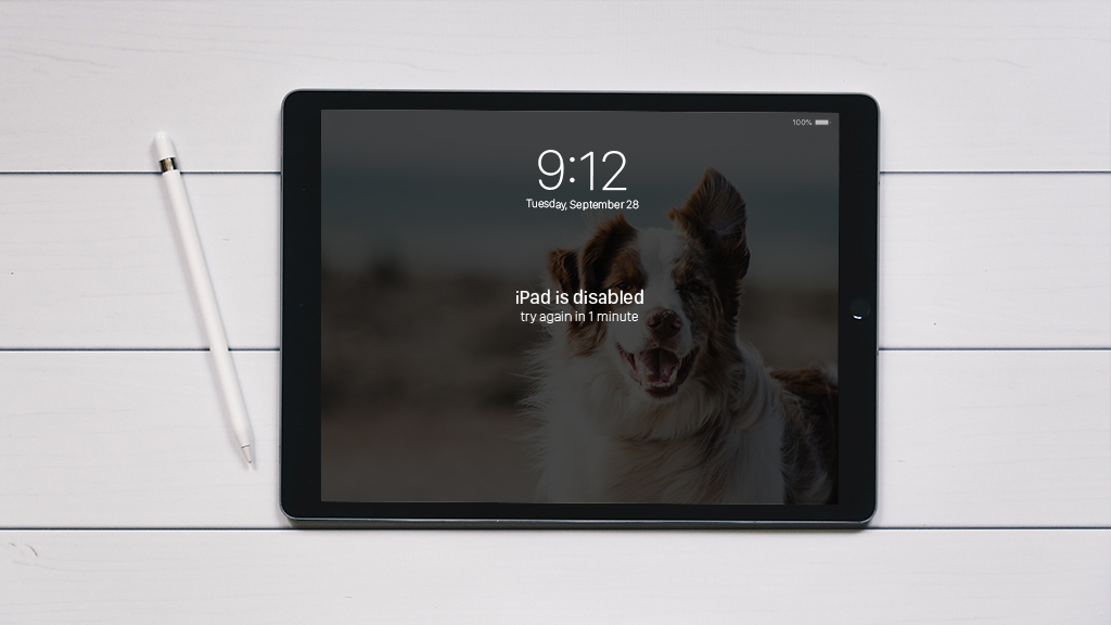 How to fix disabled iPad