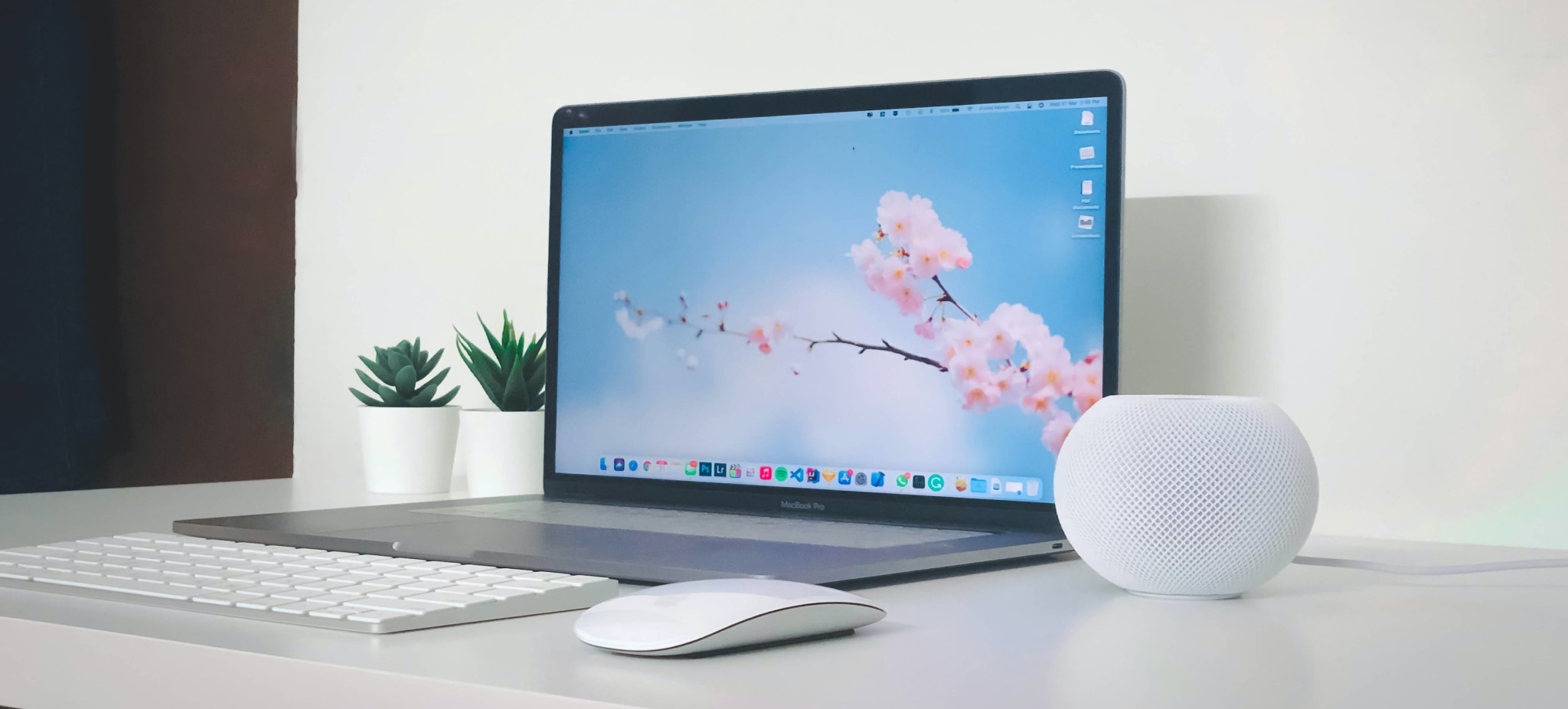 Apple Mouse and HomePod