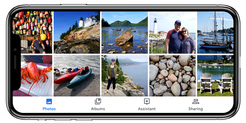 Google Photos Library 1