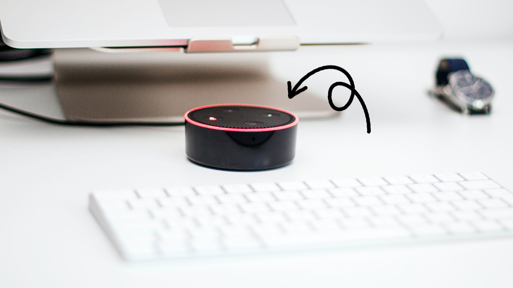 Amazon Echo Dot device with Alexa that needs to be reset