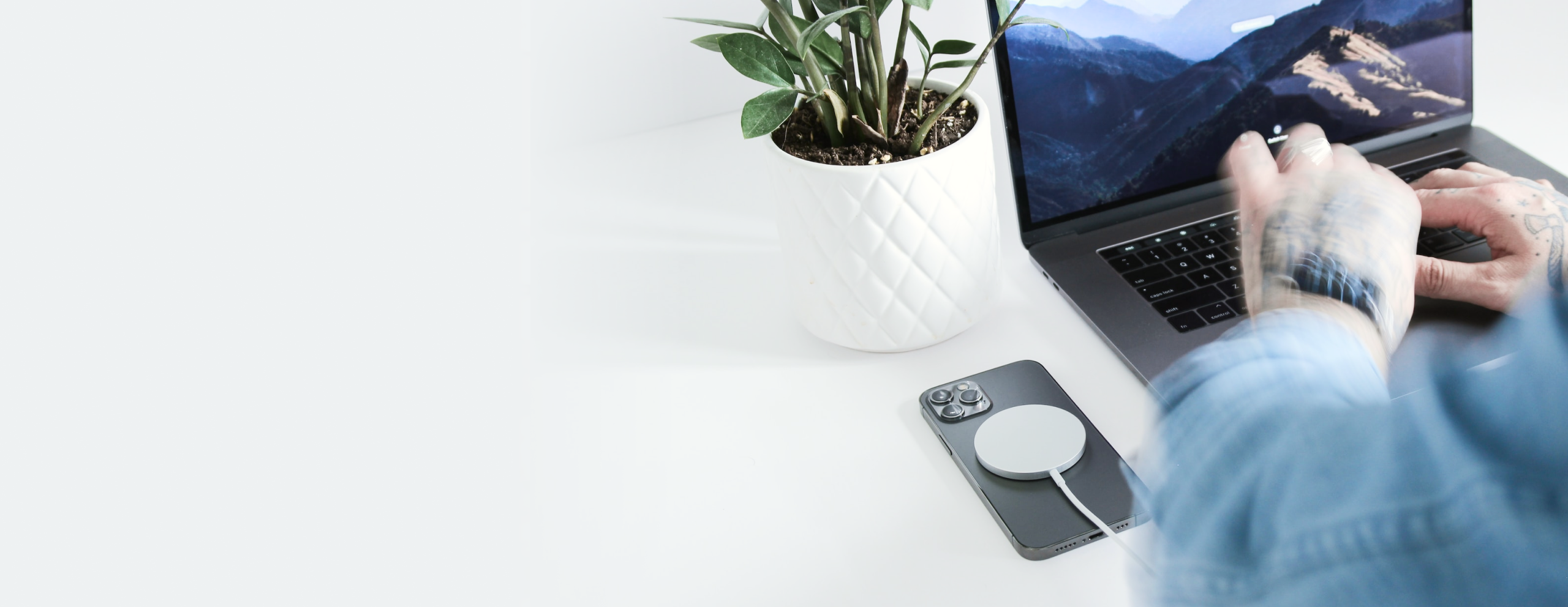 A person's hands working on a laptop with a smartphone and house plant on the table