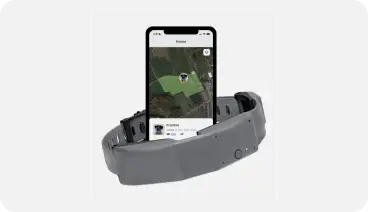 GPS tracker collars