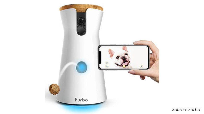 5 best high tech pet products for your smart home | Asurion