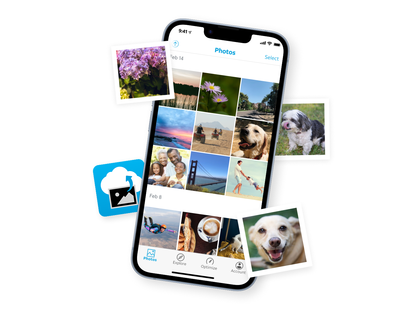 Photo app with dogs