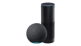 smart speaker