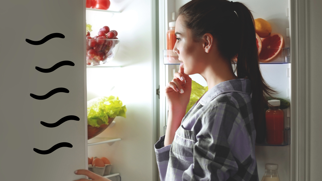 fresh smelling fridge