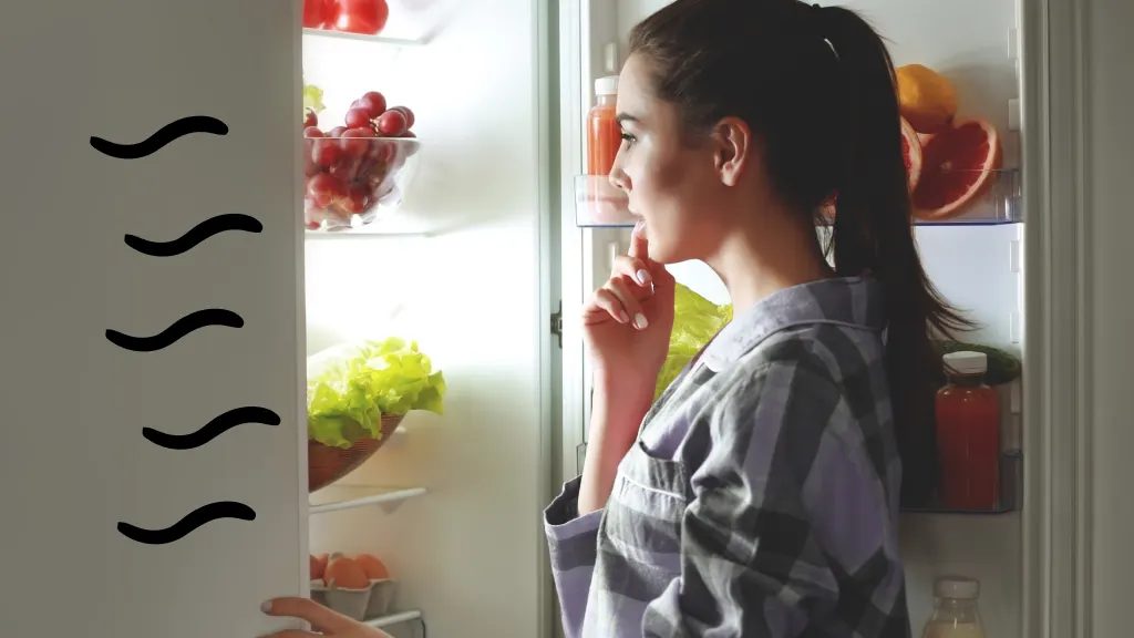 fresh smelling fridge