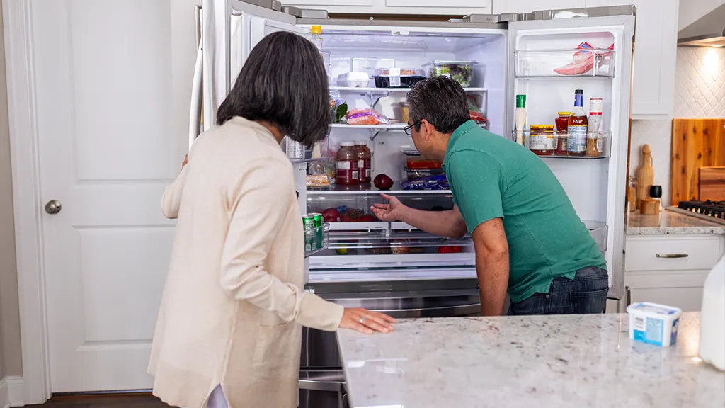 Refrigerator that's too cold and how to fix it