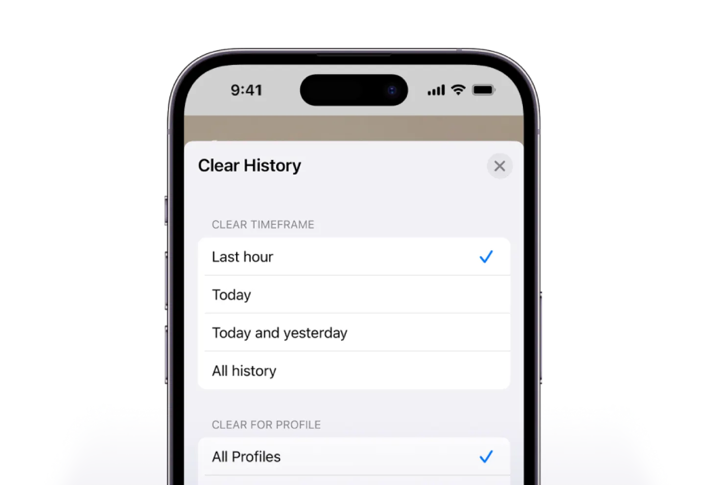 Clear browsing data on Verizon iOS phone
