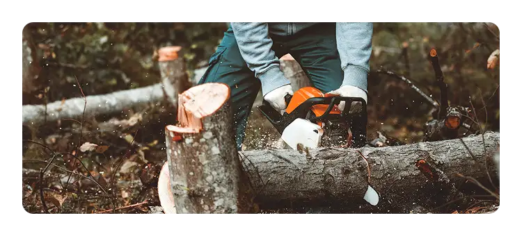 Man chopping a tree with a chainsaw