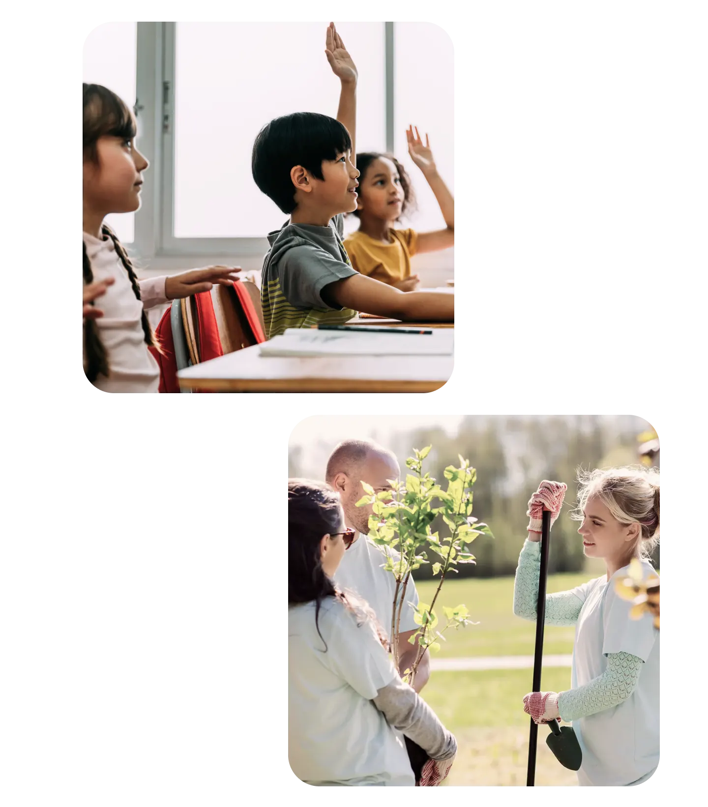 Children in classrooms and Volunteers planting trees rounded corners