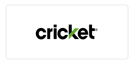 Cricket