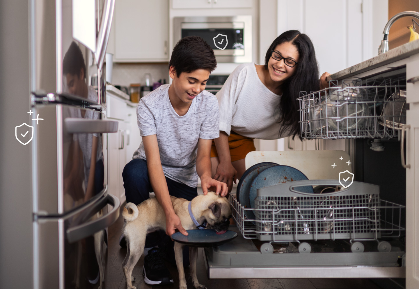 Appliance protection kids and dog broken dishwasher