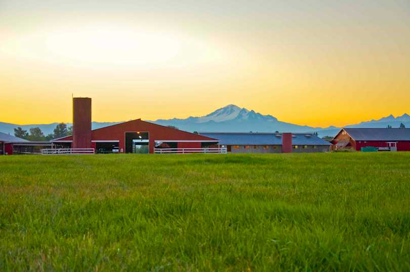 Ferndale Farmstead Barn