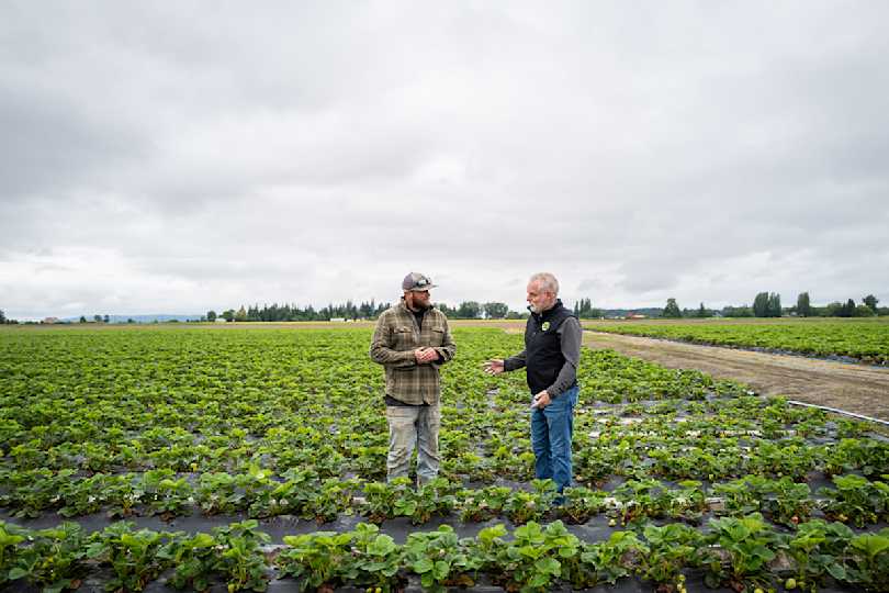 WEB Harvest Article OurFamilyFarm