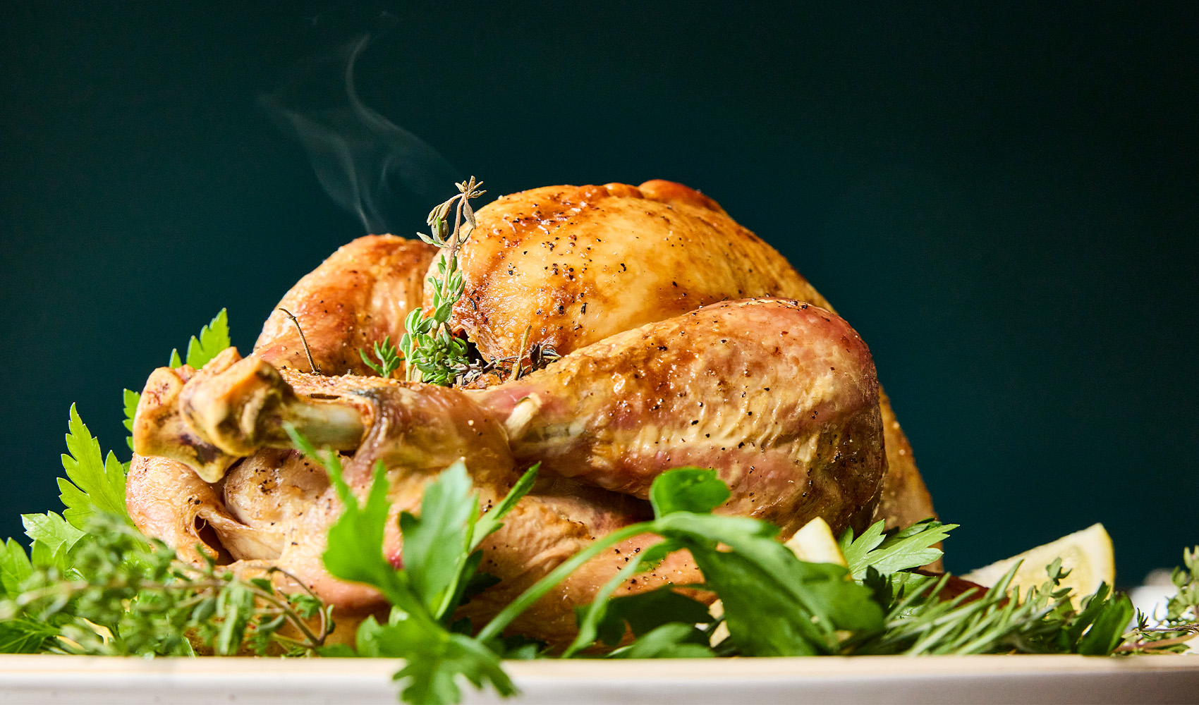 Turkey Cooking Guide