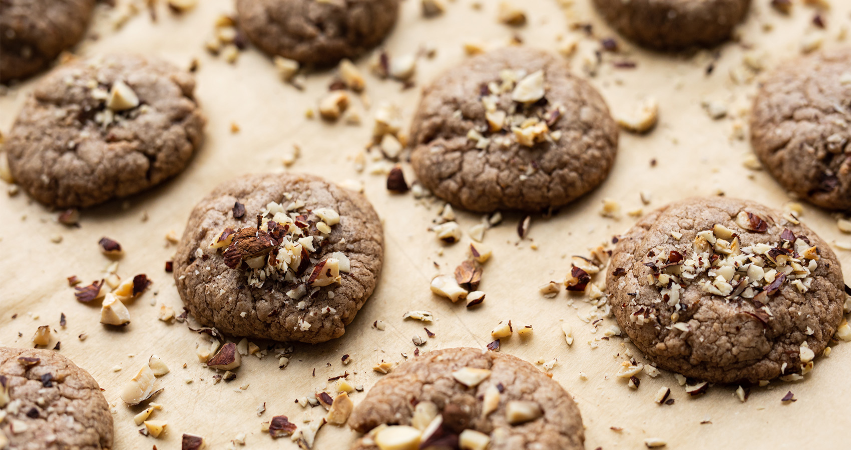 Hazelnut-Chocolate Butter Cookies