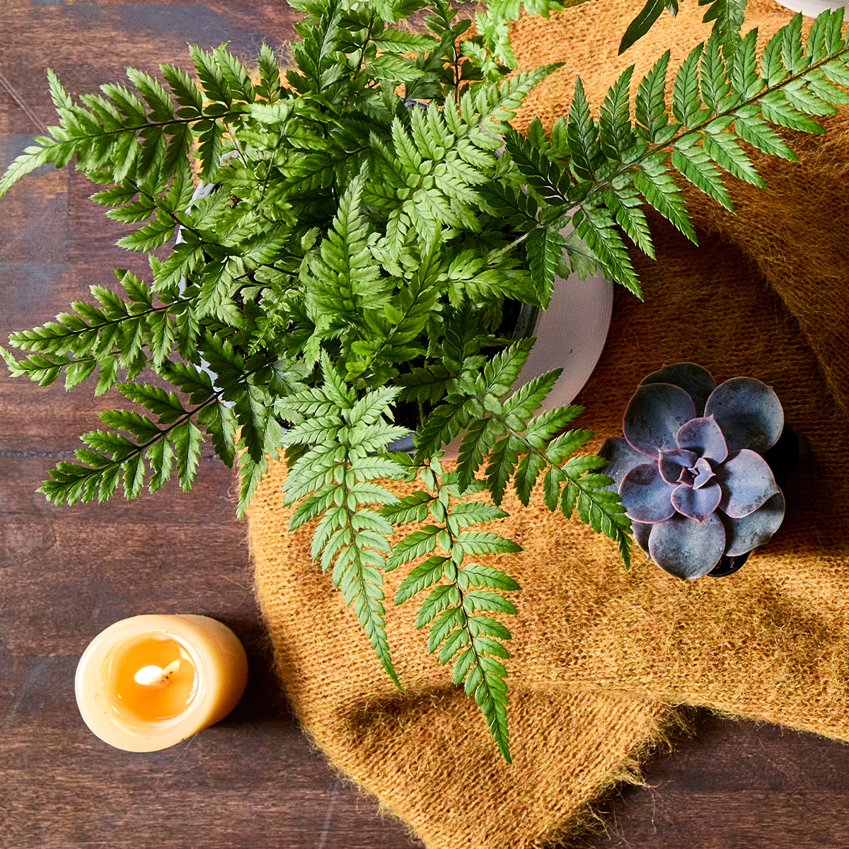 WEB Jan2026 ARTICLE-hygge keep calm