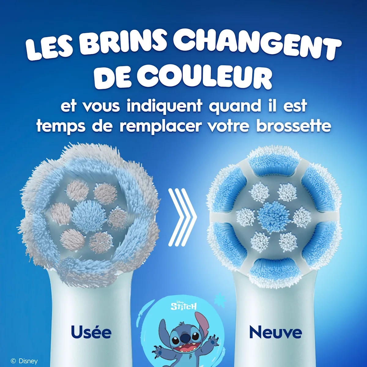 Avant/après des brossettes de brosse à dents usées puis neuves, du blanc au bleu