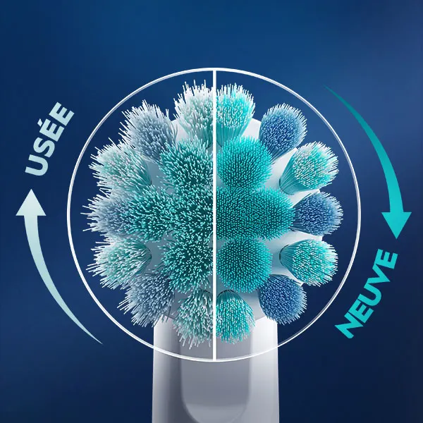 Brossettes de rechange des brosses à dents Oral-B Pro Kids disponibles en différentes éditions.