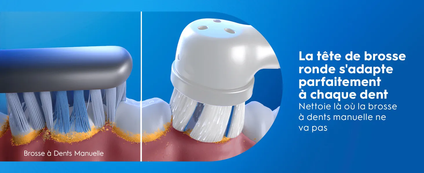 Comparaison entre brosse à dents manuelle et électrique ronde qui nettoie mieux entre les dents