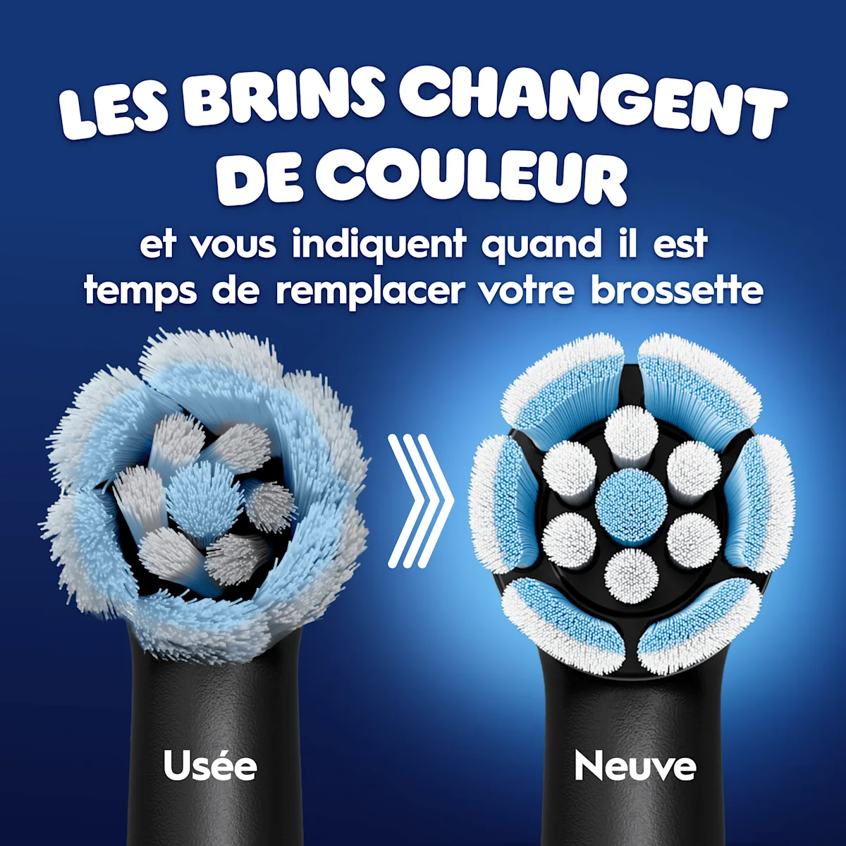 Avant/après des brossettes de brosse à dents usées puis neuves, du blanc au bleu