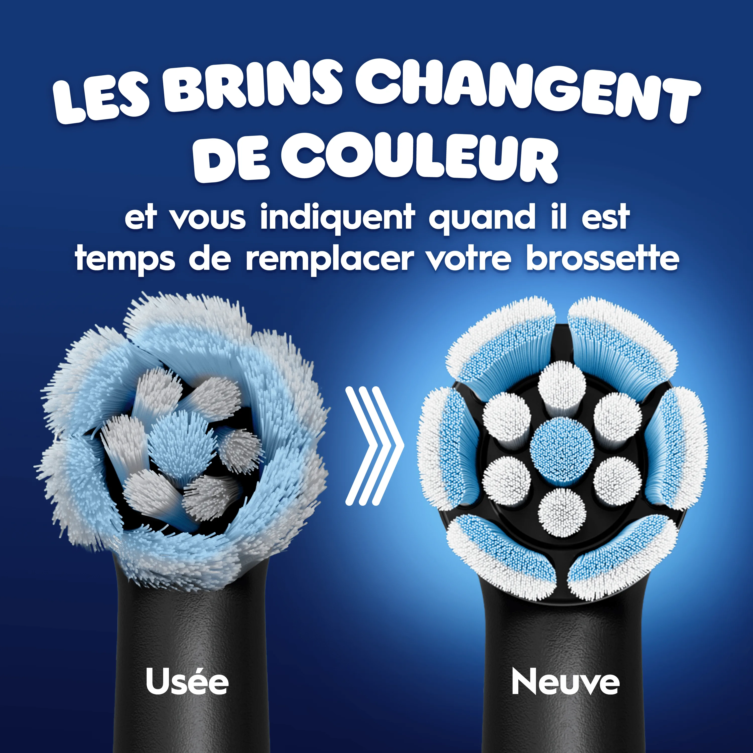 Avant/après des brossettes de brosse à dents usées puis neuves, du blanc au bleu