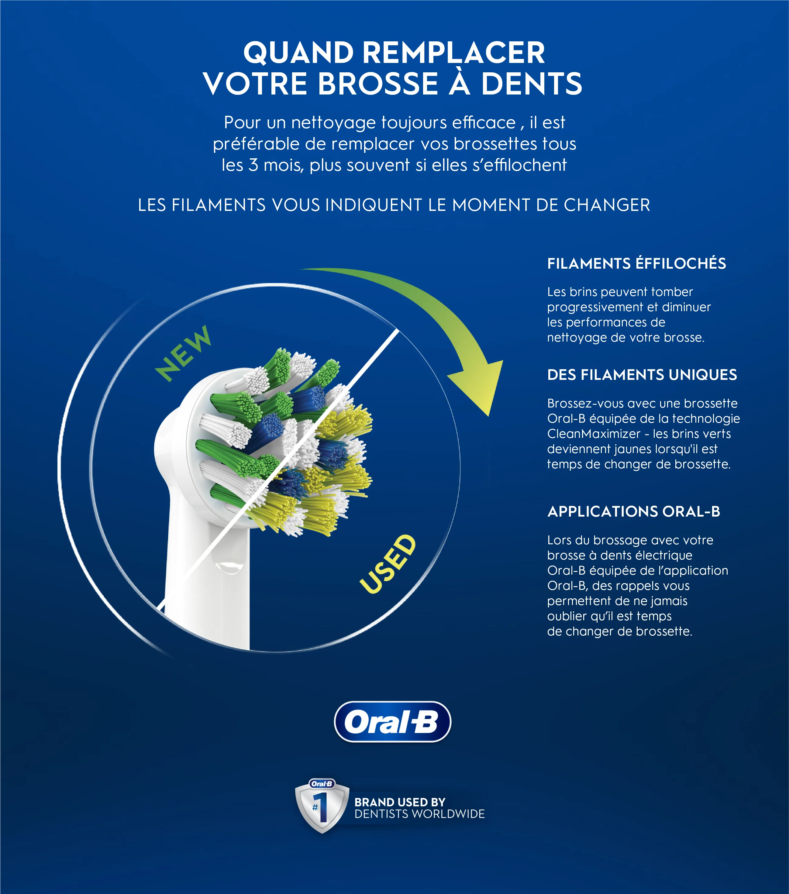 Article Image - Quelle est la meilleure brossette pour vous - 2
