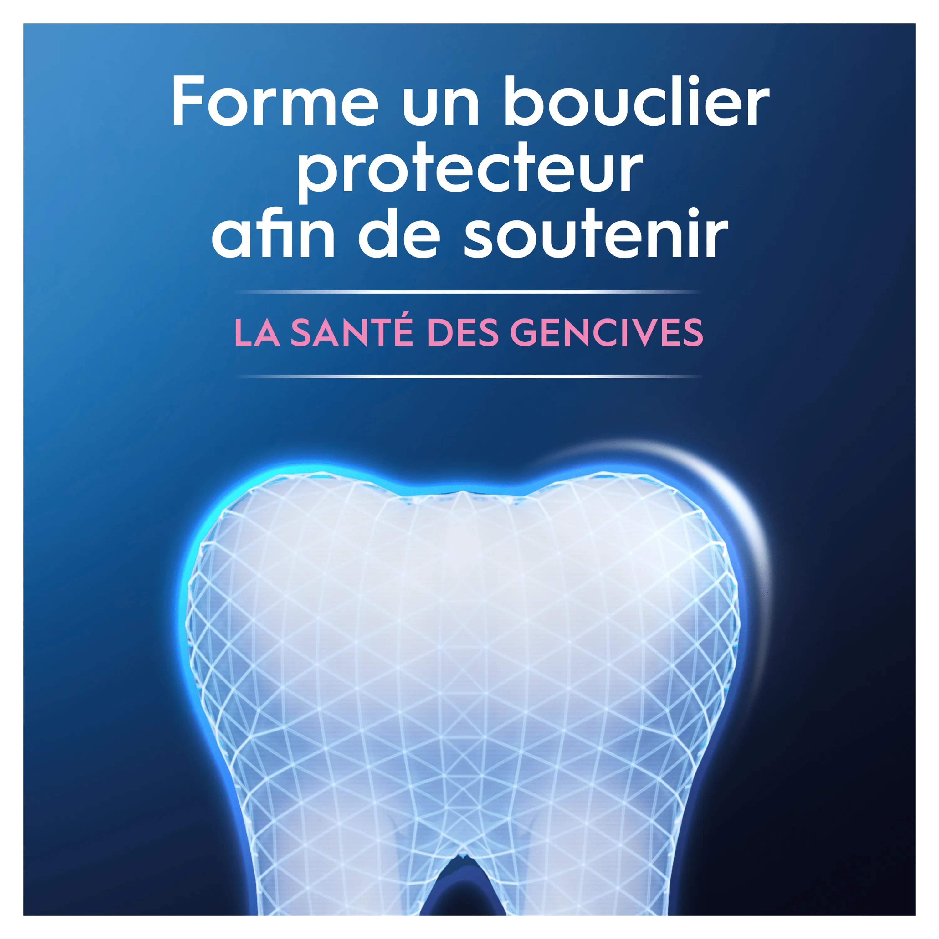 Une dent est entourée d'un bouclier protecteur pour soutenir la santé des gencives avec Oral-B.