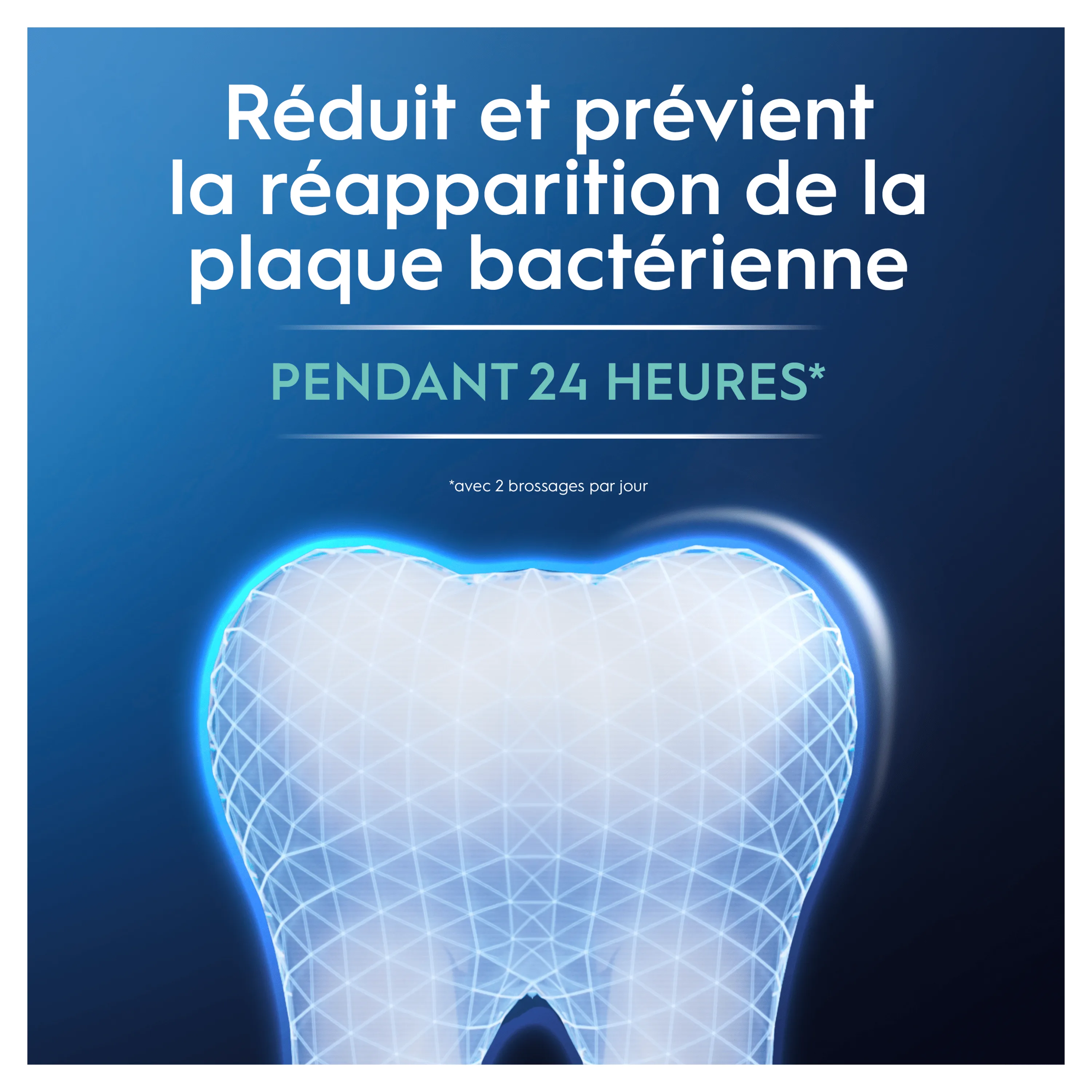 Protection contre la plaque bactérienne pendant 24 heures, illustrée par une dent propre et protégée.