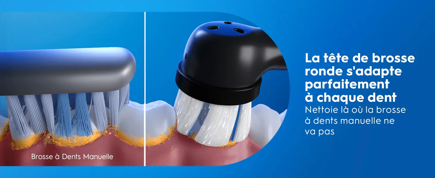 Comparaison entre brosse à dents manuelle et électrique ronde qui nettoie mieux entre les dents 