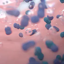 L’eau enrichie en air avec des microbulles élimine les bactéries et la plaque dès le premier contact.