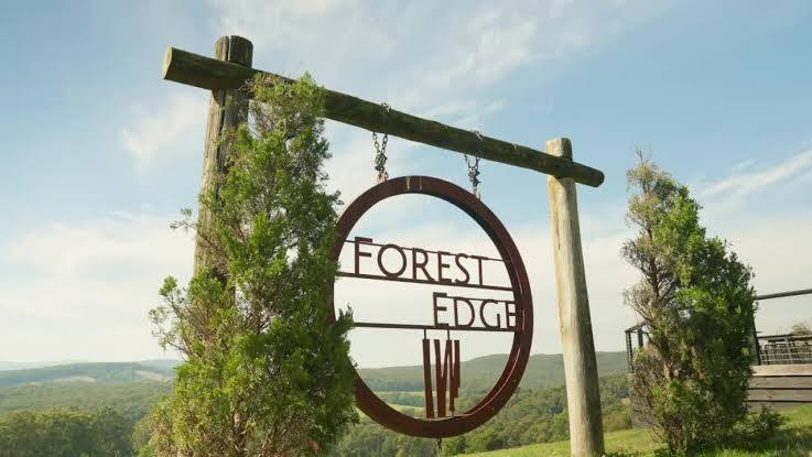 Forest Edge